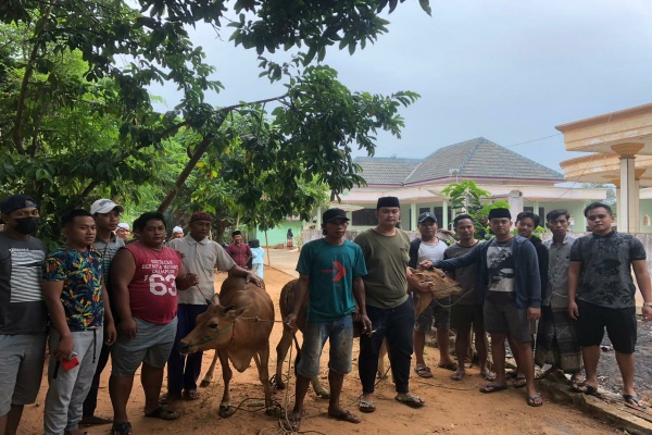 Kelompok Pemuda Dusun Lonselleng, (Team Negro) Desa Batioh Sembelih Dua Ekor Sapi Korban