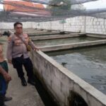 Kanit Binmas Polsek Krembung Dukung Ketahanan Pangan Lewat Budidaya Ikan Lele